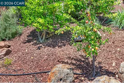 1024 Kirby Ct, Folsom, CA 95630 - Photo 48