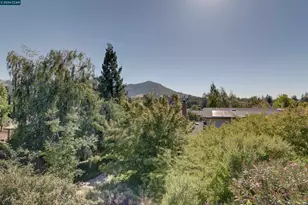 11 Mt Lee Pl, Clayton, CA 94517 - Photo 36