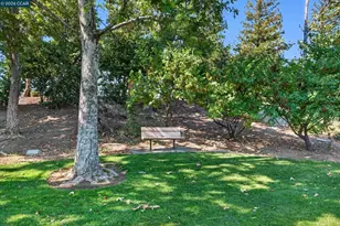577 Saddleback Cir, Livermore, CA 94551 - Photo 34