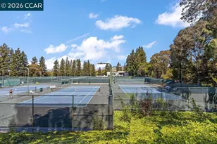 565 Silver Lake Dr, Danville, CA 94526 - Photo 44