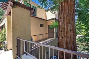3279 Mt Diablo Ct, Lafayette, CA 94549 - Photo 2