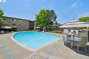 1327 Webster St, Alameda, CA 94501 - Photo 46
