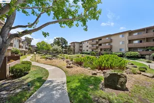 1327 Webster St, Alameda, CA 94501 - Photo 40