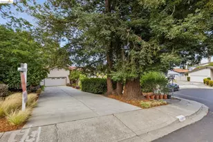 1131 Mitchell Way, El Sobrante, CA 94803 - Photo 66