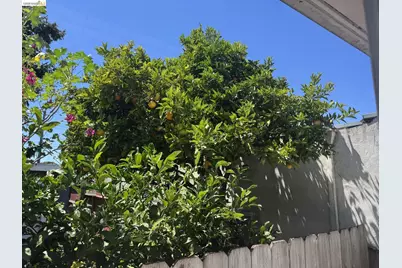 3212 Esmond Ave, Richmond, CA 94804 - Photo 26