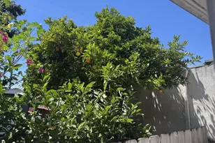 3212 Esmond Ave, Richmond, CA 94804 - Photo 26