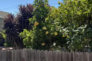 3212 Esmond Ave, Richmond, CA 94804 - Photo 24