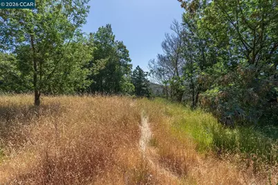 [Address not provided], Kentfield, CA 94904 - Photo 6