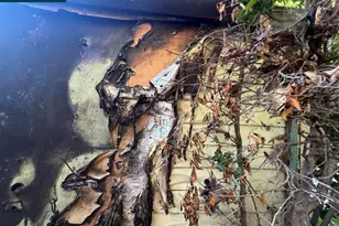 [Address not provided], San Leandro, CA 94577 - Photo 6