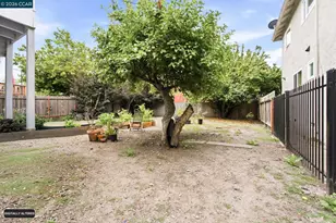 1238 Haskell St, Berkeley, CA 94702 - Photo 26