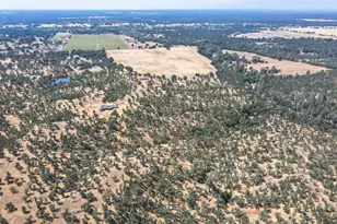 18490 Gas Point Rd, Cottonwood, CA 96022 - Photo 2