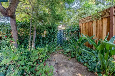 4175 Coulombe Dr, Palo Alto, CA 94306 - Photo 14