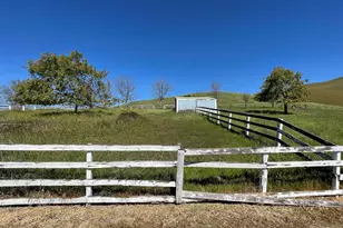 3343 Little Valley Rd, Sunol, CA 94568 - Photo 72
