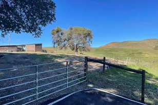 3343 Little Valley Rd, Sunol, CA 94568 - Photo 56