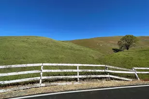 3343 Little Valley Rd, Sunol, CA 94568 - Photo 76