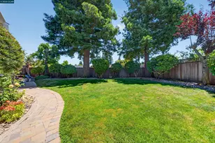 439 Summer Creek Ln, San Ramon, CA 94583 - Photo 56