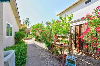2639 Celaya Cir, San Ramon, CA 94583 - Photo 32