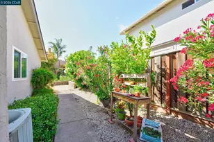 2639 Celaya Cir, San Ramon, CA 94583 - Photo 32