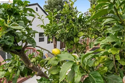 6032 Mauritania Ave, Oakland, CA 94605 - Photo 34