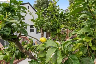 6032 Mauritania Ave, Oakland, CA 94605 - Photo 34