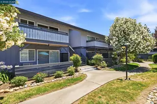 233 Masters Ct, Walnut Creek, CA 94598 - Photo 40