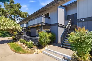 233 Masters Ct, Walnut Creek, CA 94598 - Photo 42