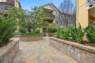 4463 Hyde Cmn #116, Fremont, CA 94538 - Photo 20