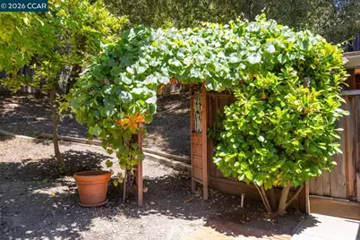 19 Valley Dr, Orinda, CA 94563 - Photo 46