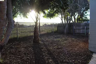 4400 Gateway Dr, Bethel Island, CA 94511 - Photo 8