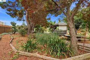 770 Grove Way, Hayward, CA 94541 - Photo 28