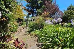 770 Grove Way, Hayward, CA 94541 - Photo 34