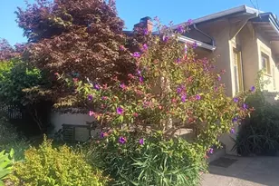 915 39th St, Oakland, CA 94608 - Photo 2