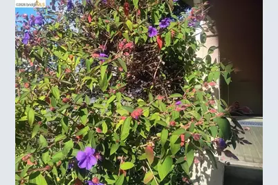 915 39th St, Oakland, CA 94608 - Photo 6