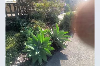 915 39th St, Oakland, CA 94608 - Photo 6