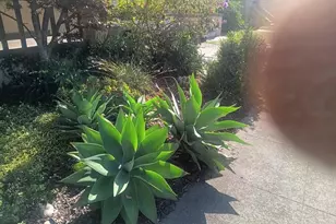 915 39th St, Oakland, CA 94608 - Photo 6