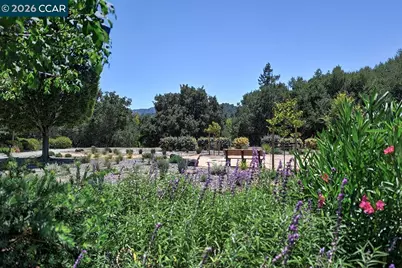 2025 Golden Rain Rd #7, Walnut Creek, CA 94595 - Photo 1