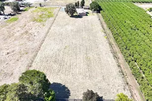 121 Markey Ln, Brentwood, CA 94513 - Photo 40