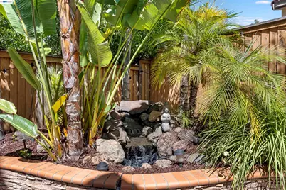 2909 Enfield St, San Ramon, CA 94582 - Photo 44