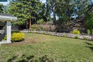 34 Mott Dr, Alamo, CA 94507 - Photo 66