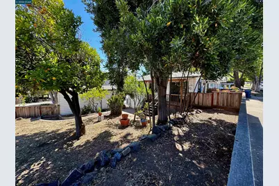 1546 Azalea Ave, Martinez, CA 94553 - Photo 6