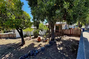 1546 Azalea Ave, Martinez, CA 94553 - Photo 6