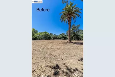 3515 Kellogg Creek Rd, Byron, CA 94514 - Photo 6