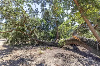 3515 Kellogg Creek Rd, Byron, CA 94514 - Photo 10