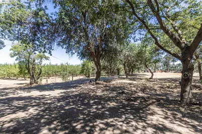3515 Kellogg Creek Rd, Byron, CA 94514 - Photo 4