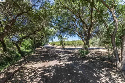3515 Kellogg Creek Rd, Byron, CA 94514 - Photo 2