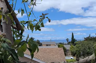 736 Shard Ct, Fremont, CA 94539 - Photo 48
