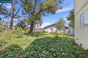 565 Mt Dell Dr, Clayton, CA 94517 - Photo 36