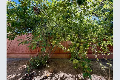3119 Castle Canyon Way, San Jose, CA 95135 - Photo 14
