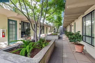 4395 Piedmont Ave, Oakland, CA 94611 - Photo 20