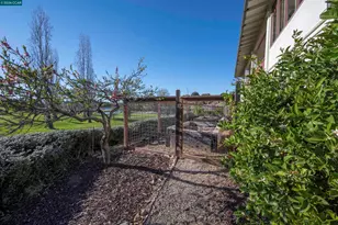 777 Grinding Rock Rd, Angels Camp, CA 95222 - Photo 44